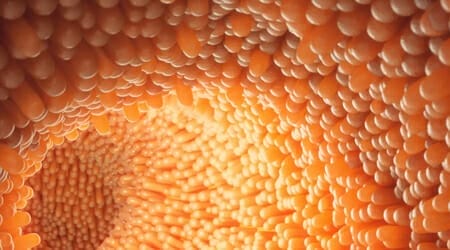 Intestino_ok